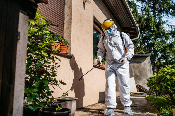 Best Bed Bug Extermination  in Hinsdale, IL
