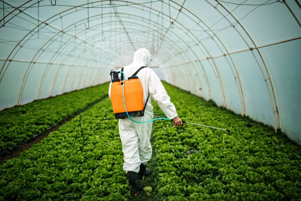 Best Residential Pest Control  in Hinsdale, IL