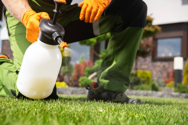 Best Termite Control Services  in Hinsdale, IL