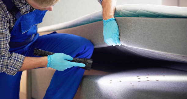 Best Best Pest Control Companies  in Hinsdale, IL
