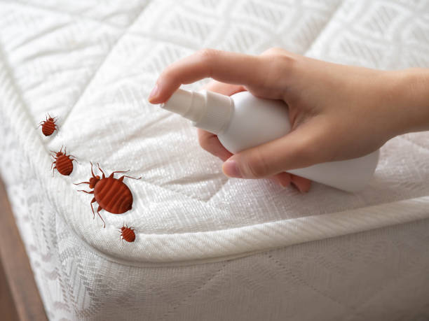 Best Pest Control for Restaurants  in Hinsdale, IL