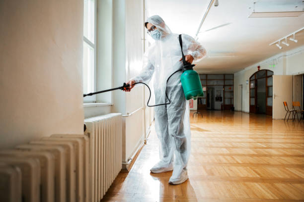 Best Termite Control Services  in Hinsdale, IL