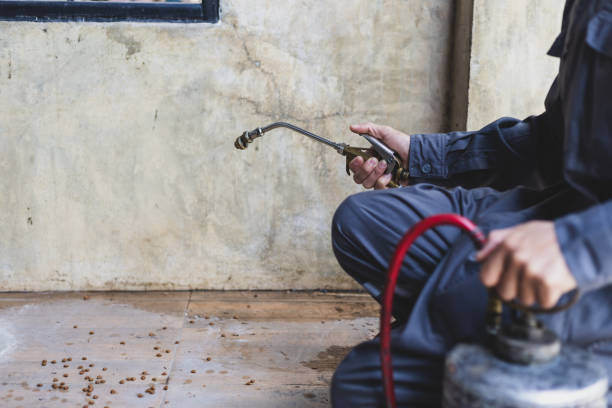 Best Commercial Pest Control Services  in Hinsdale, IL